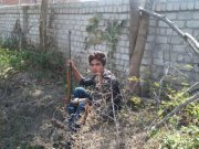 Rohan