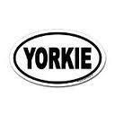 Yorkie