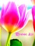 Mishal 