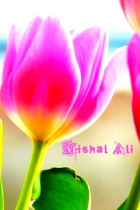 Mishal 
