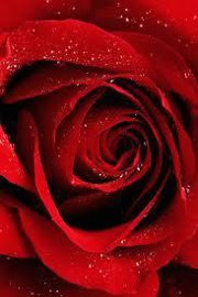 Raghad