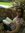 Marisela | 6 comments