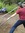 David Mackey | 10 comments