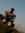 Sanket