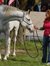 Dorthe