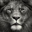 Pawel