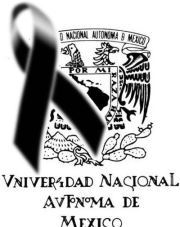 Vichente