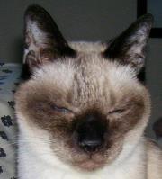 Sandra (Sandy) Spiller