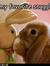 Judy