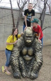 Staci