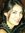 Marianna