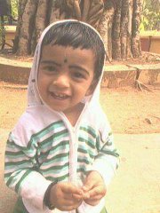 Anil