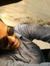 Akshat