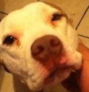 Isaac