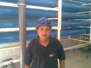 Ahmed