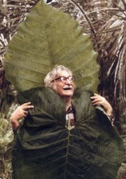 Tierra