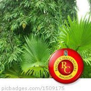 Dushyant