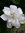 Mary Ann (maryann16) | 4 comments