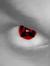 Nithin