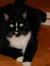 Abbie
