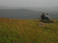 Shruthi