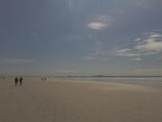 ఒలివియా