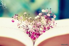 سمية عبدالله