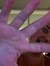 Heather