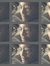 Bruce