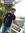 Pranay