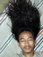 Anil