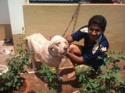 Aditya