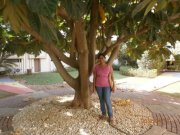Poojitha