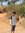 Sanchay