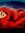 Shelly | 5 comments