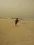 Mostafa