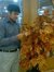 Mustahsan