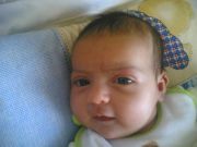 المحاميه الاء