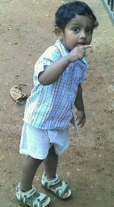 Anil