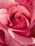 prettypinkbooks