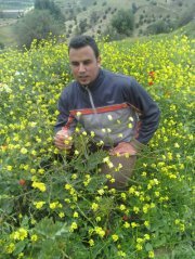 عبدالرفيع