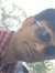 Anand