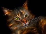 Chrisse813 Rainey-Endahl