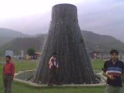 Saurabh