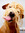 Craig | 31 comments