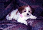 Karlene
