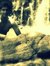 Bhavin