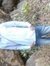 Manoj