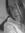 Maureen