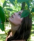 Laurel